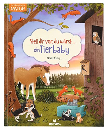 moses. Stell dir vor, du wärst ein Tierbaby, Spannendes Tierbuch für Kinder ab 5 Jahren